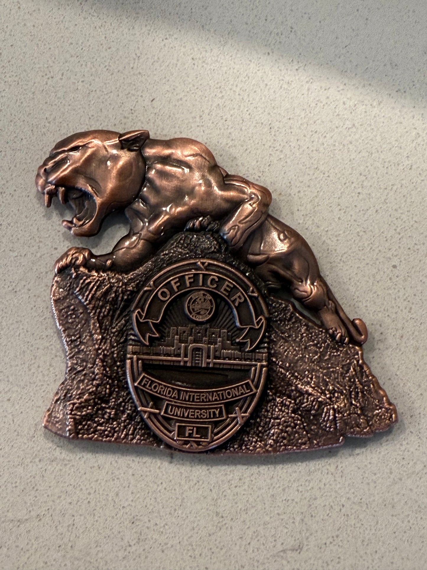 FIU PD panther challenge coin