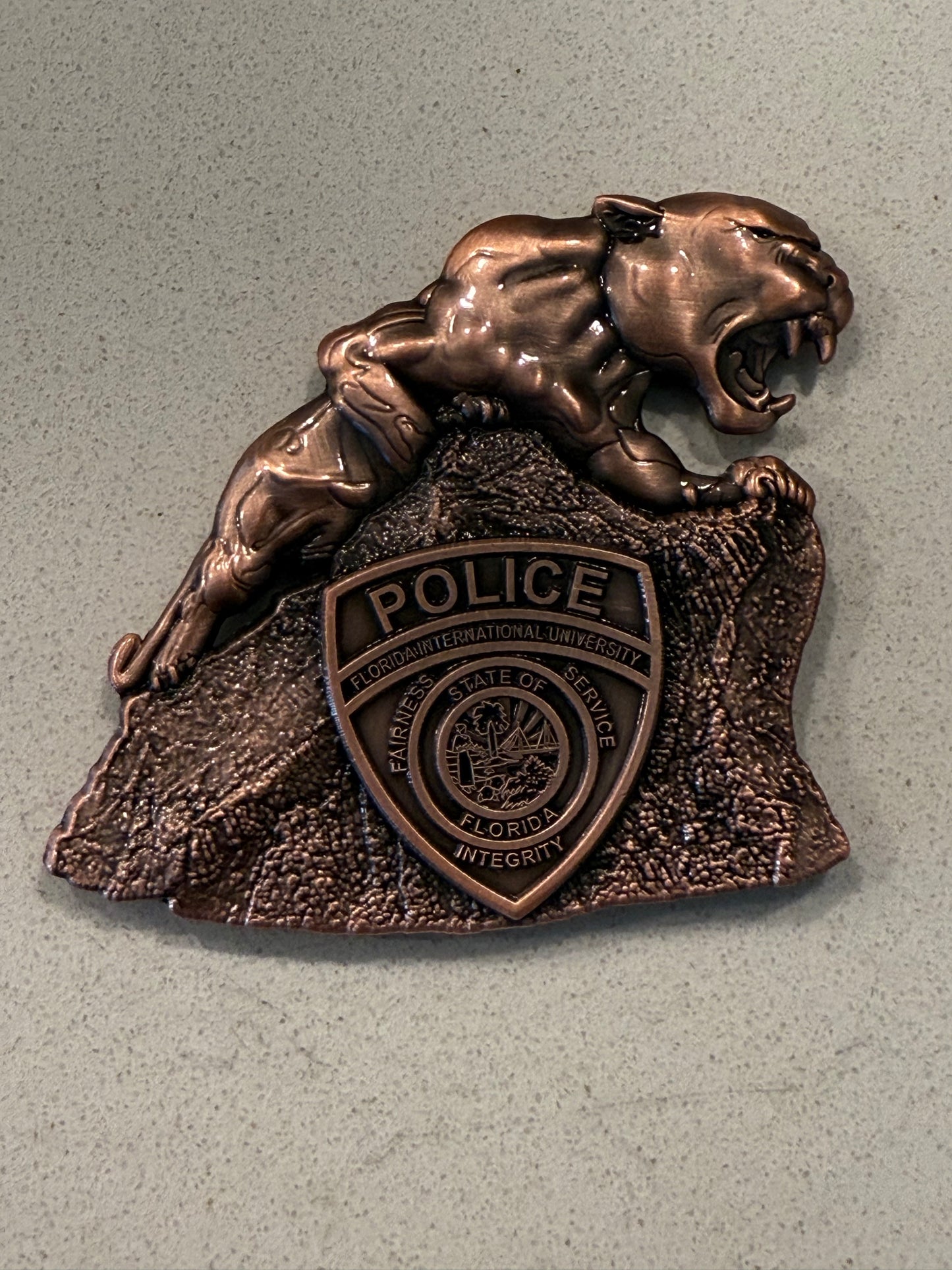 FIU PD panther challenge coin