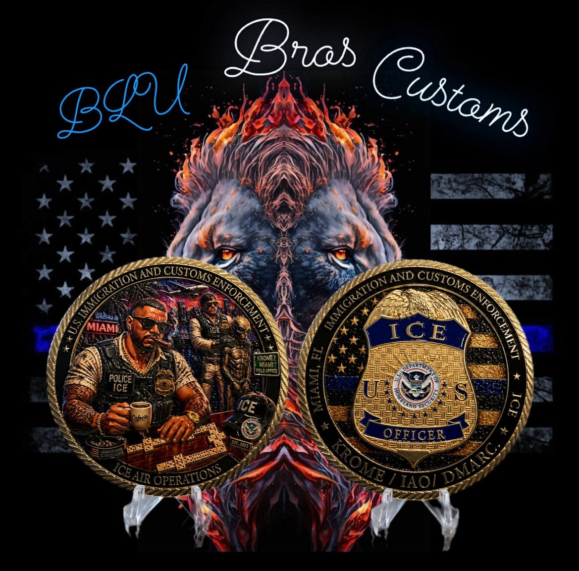 US immigration & Customs Enforcement Air Operations