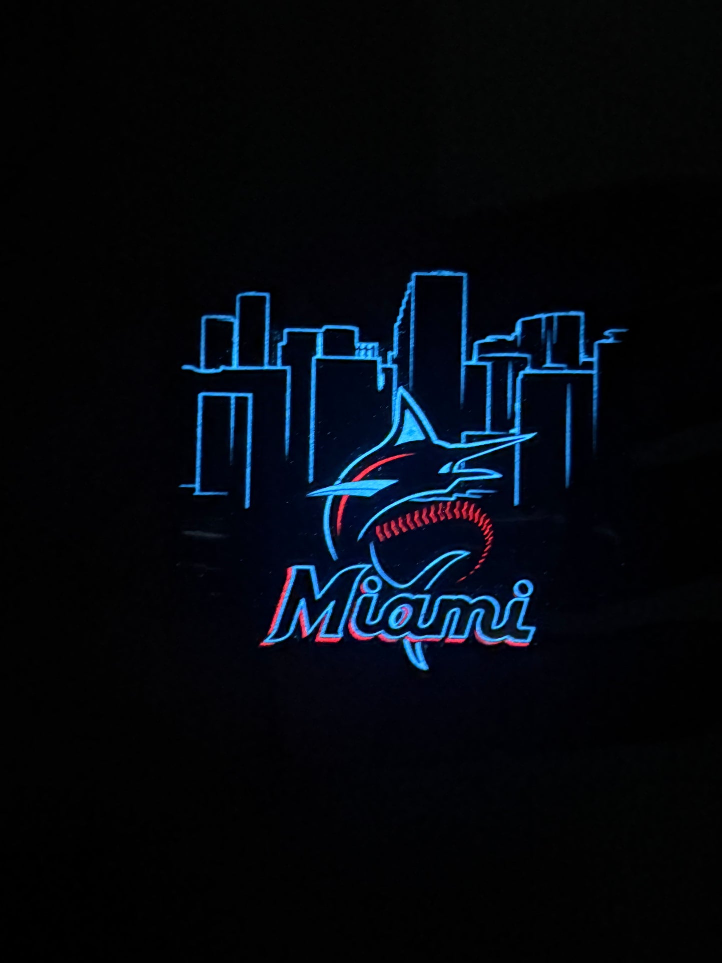 Miami Dade Sheriff’s Office Marlins Coin (Limit 2 per person)