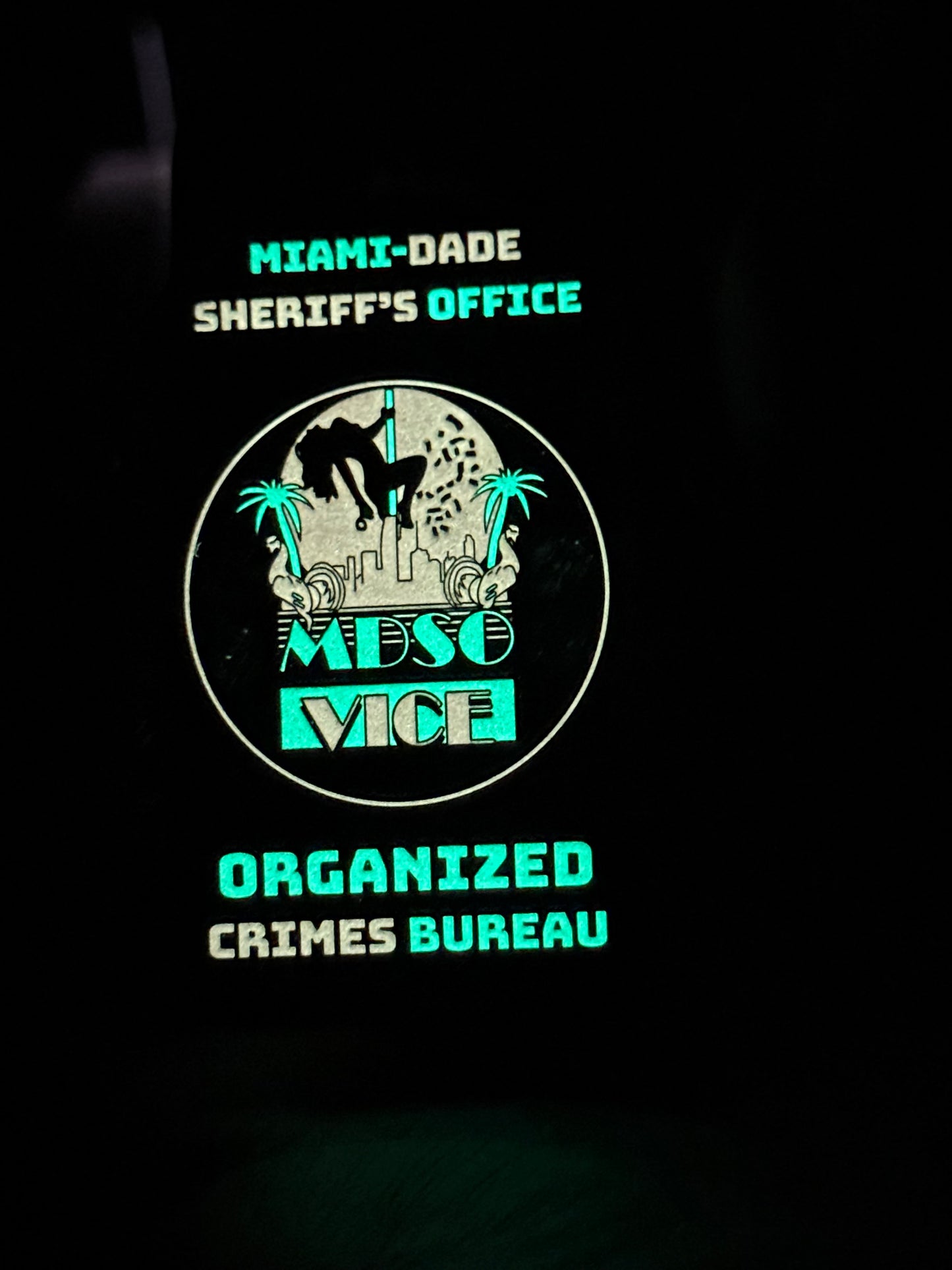 New Miami Dade Sheriff’s Office Vice Intelligence Squad